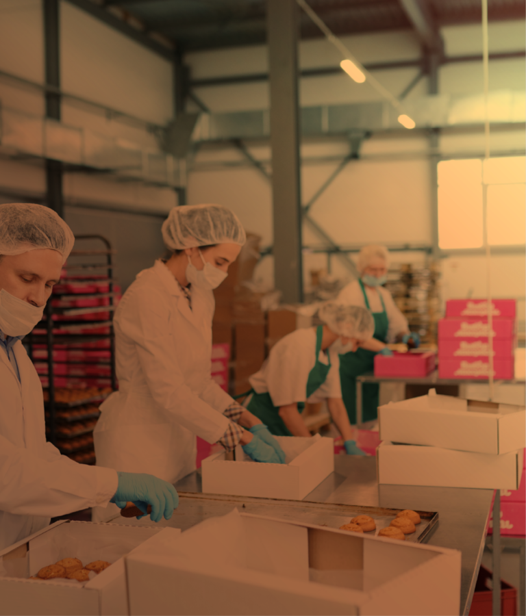 Producción alimentaria